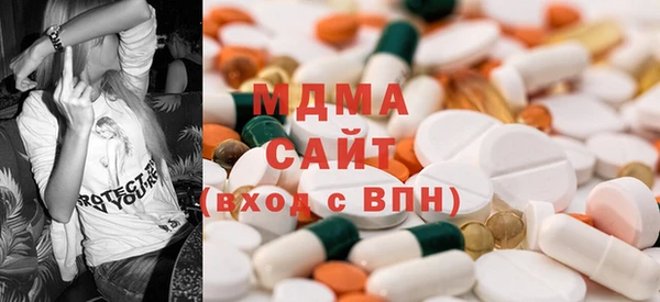 гашик Алексин
