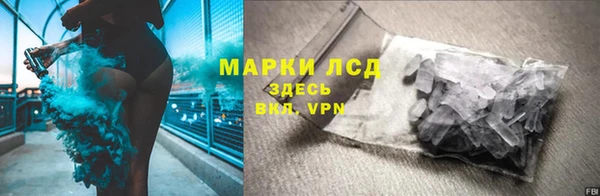гашик Алексин
