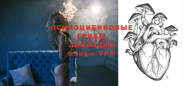 гашик Алексин
