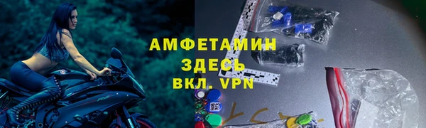 гашик Алексин