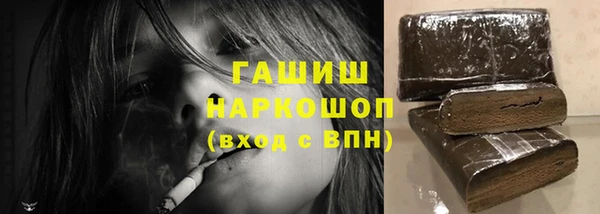 гашик Алексин
