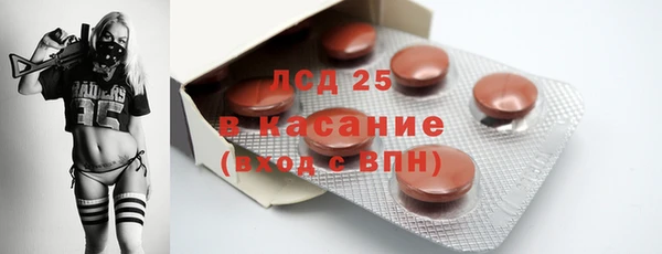 гашик Алексин