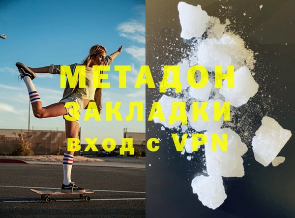 гашик Алексин