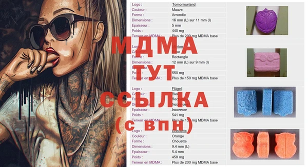 гашик Алексин