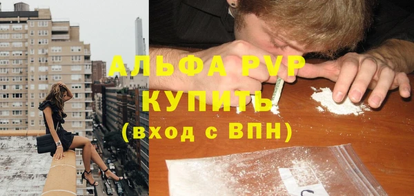 гашик Алексин