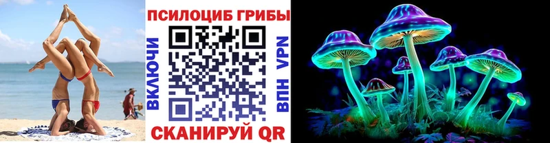 Псилоцибиновые грибы GOLDEN TEACHER Петрозаводск